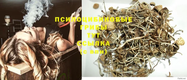 крисы Медвежьегорск