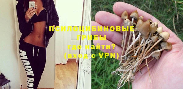 spice Абдулино